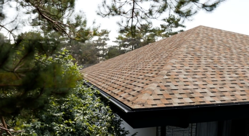 Ламинированная черепица Docke PIE DRAGON Standart