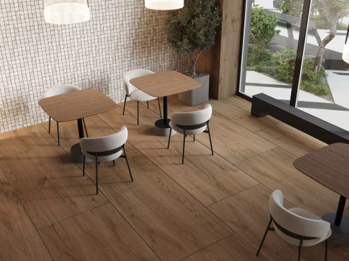 Керамогранит коллекции Alavesa